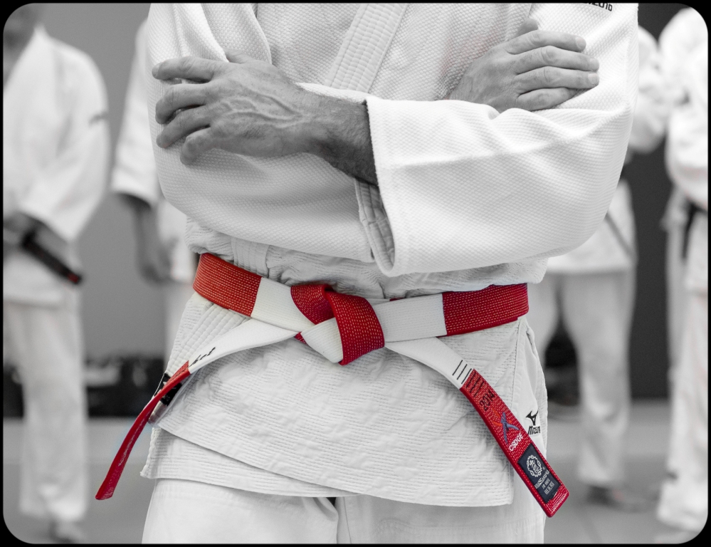 Dan Liste Ceinture Noire Judo Dan Ceintures De Judo Passage De